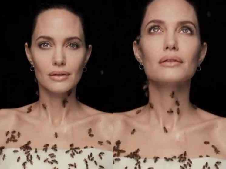 Angelina Jolie's photoshoot for National Geographic magazine with bees for 18 minutes - VIRAL VIDEO!